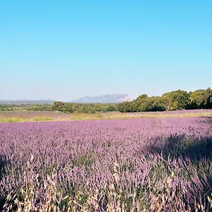 Maison Francoise Bed & Breakfast